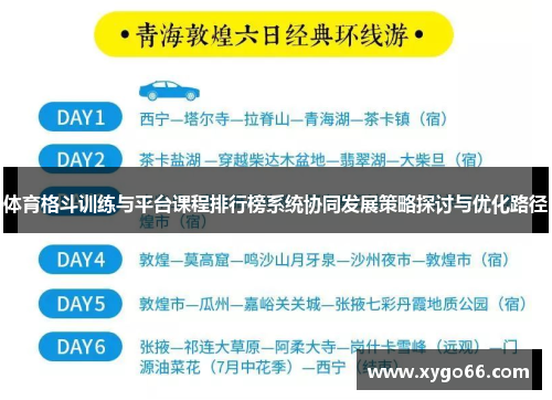 体育格斗训练与平台课程排行榜系统协同发展策略探讨与优化路径